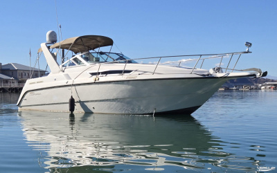 1998 Chaparral Signature 290