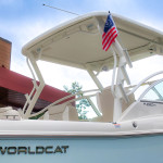 2027 World Cat