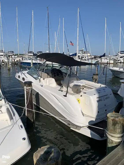 2006 Sea Ray Amberjack 270