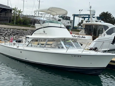 1978 Bertram 31