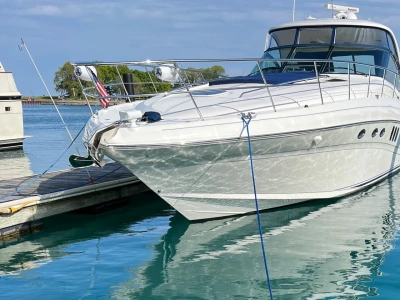 2009 Other Ray 520 SUNDANCER