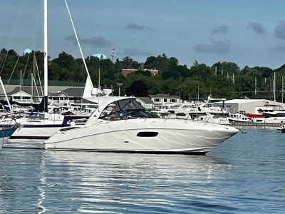 2011 Other Ray 370 SUNDANCER