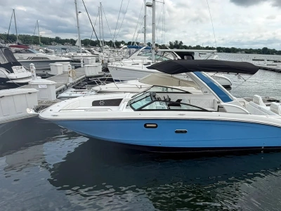 2026 Other Ray SDX 290