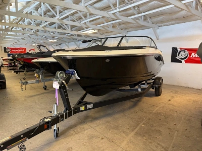 2025 Bayliner V20I