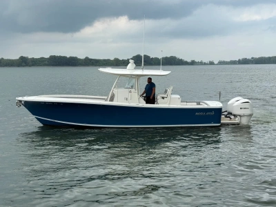 2019 Regulator 31