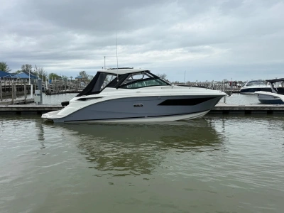 2026 Other Ray Sundancer 320