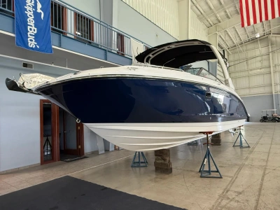 2026 Other Ray SDX 290 Outboard