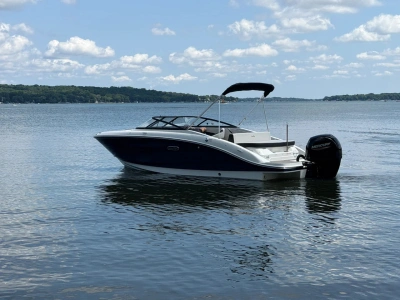 2026 Other Ray SPX 210 Outboard