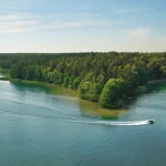 2025 Other