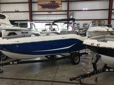 2025 Bayliner D20I