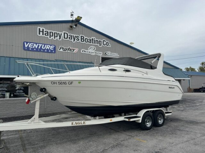 1999 Wellcraft 2400 Martinique