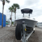 2025 Savannah