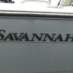 2025 Savannah