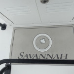 2025 Savannah