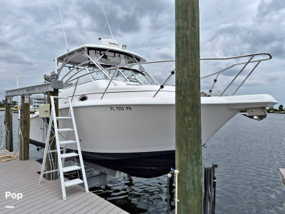 2005 Pro Line 32 Express