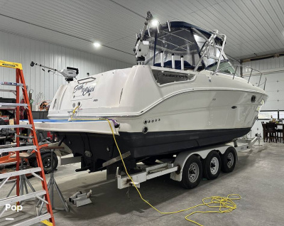 2008 Sea Ray 290 Amberjack
