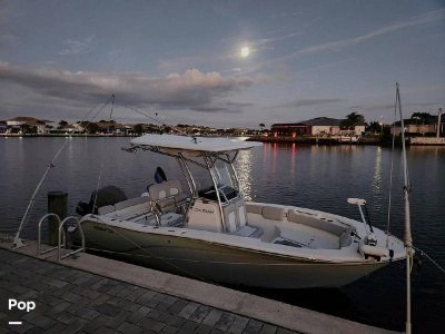 2019 Sea Fox 228 Commander