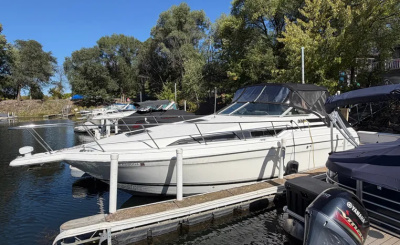 1994 Wellcraft 3200 Martinique
