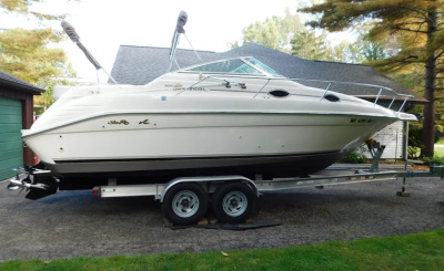 1996 Sea Ray 250 Sundancer
