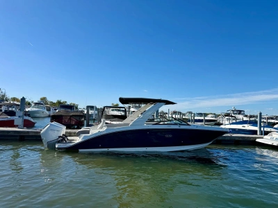2026 Other Ray SDX 290 Outboard
