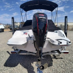 2026 Stingray