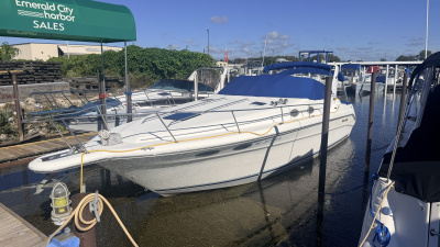 1995 Sea Ray Express Cruiser