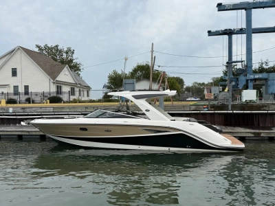 2017 Other Ray 310 SLX