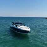 2026 Cruisers