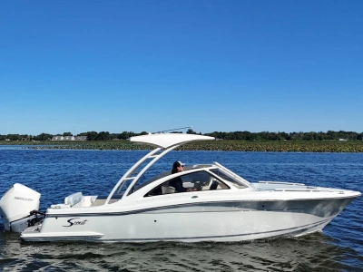 2025 Scout 240 Dorado