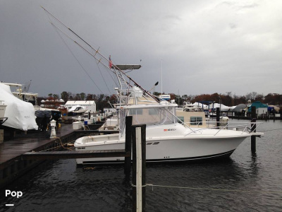 2000 Luhrs Tournament 290 Open