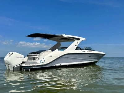 2021 Other Ray 310 SLX OB