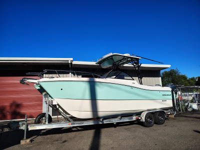 2006 World Cat 250 DC