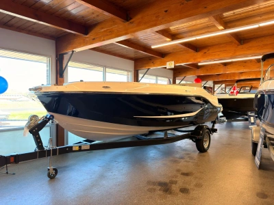 2025 Bayliner D20