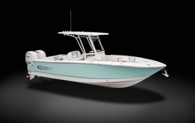 2027 Robalo R250