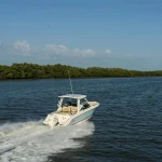 2027 Boston Whaler