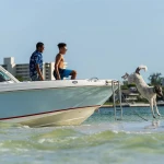 2027 Boston Whaler