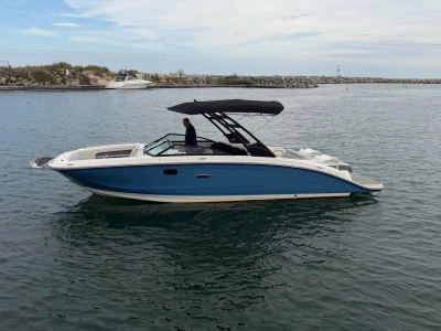 2025 Other Ray 290 SUNDECK