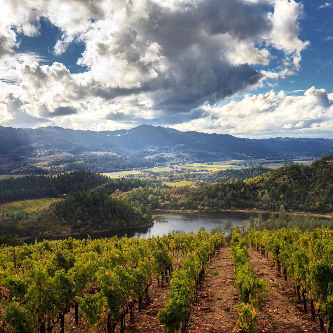 Lake Sonoma Community