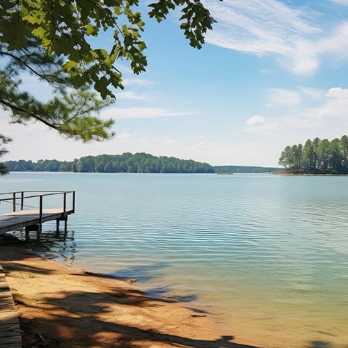 Georgia Community
