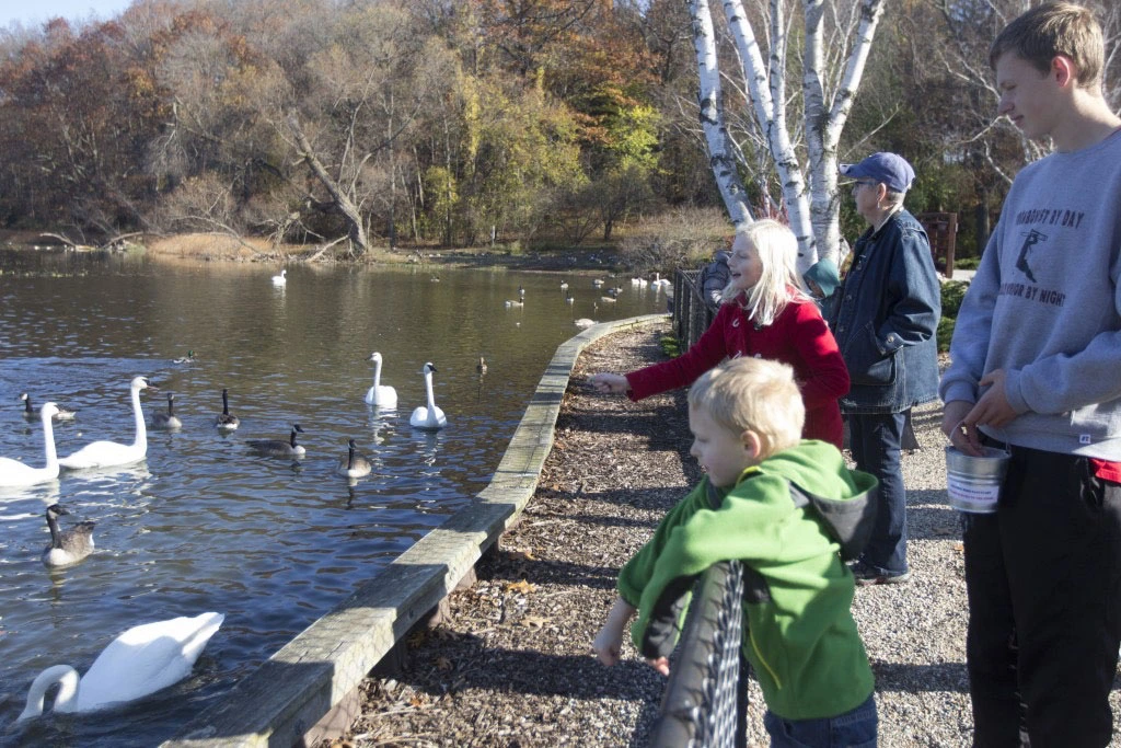 Gull Lake