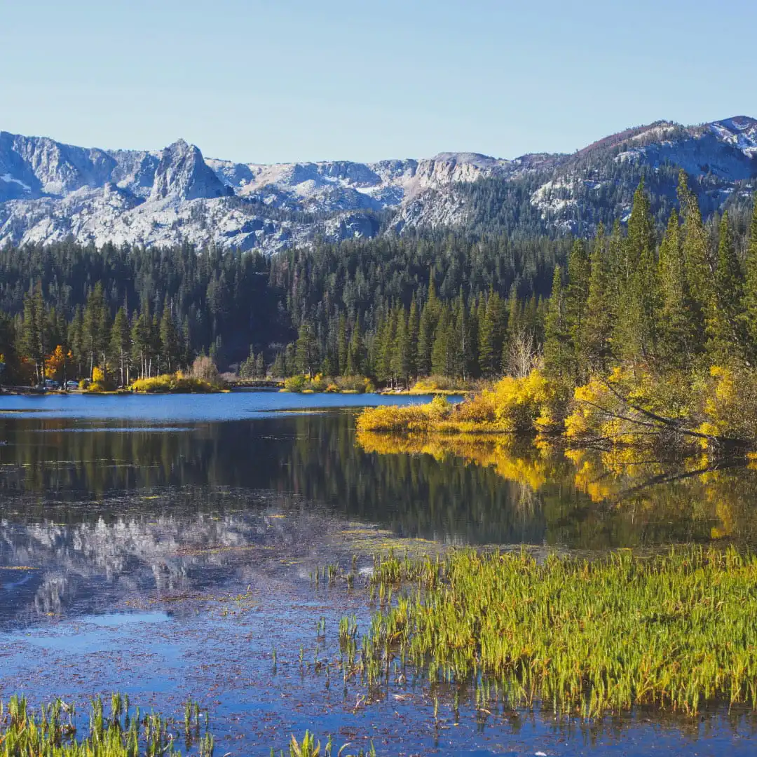 Lake George Community