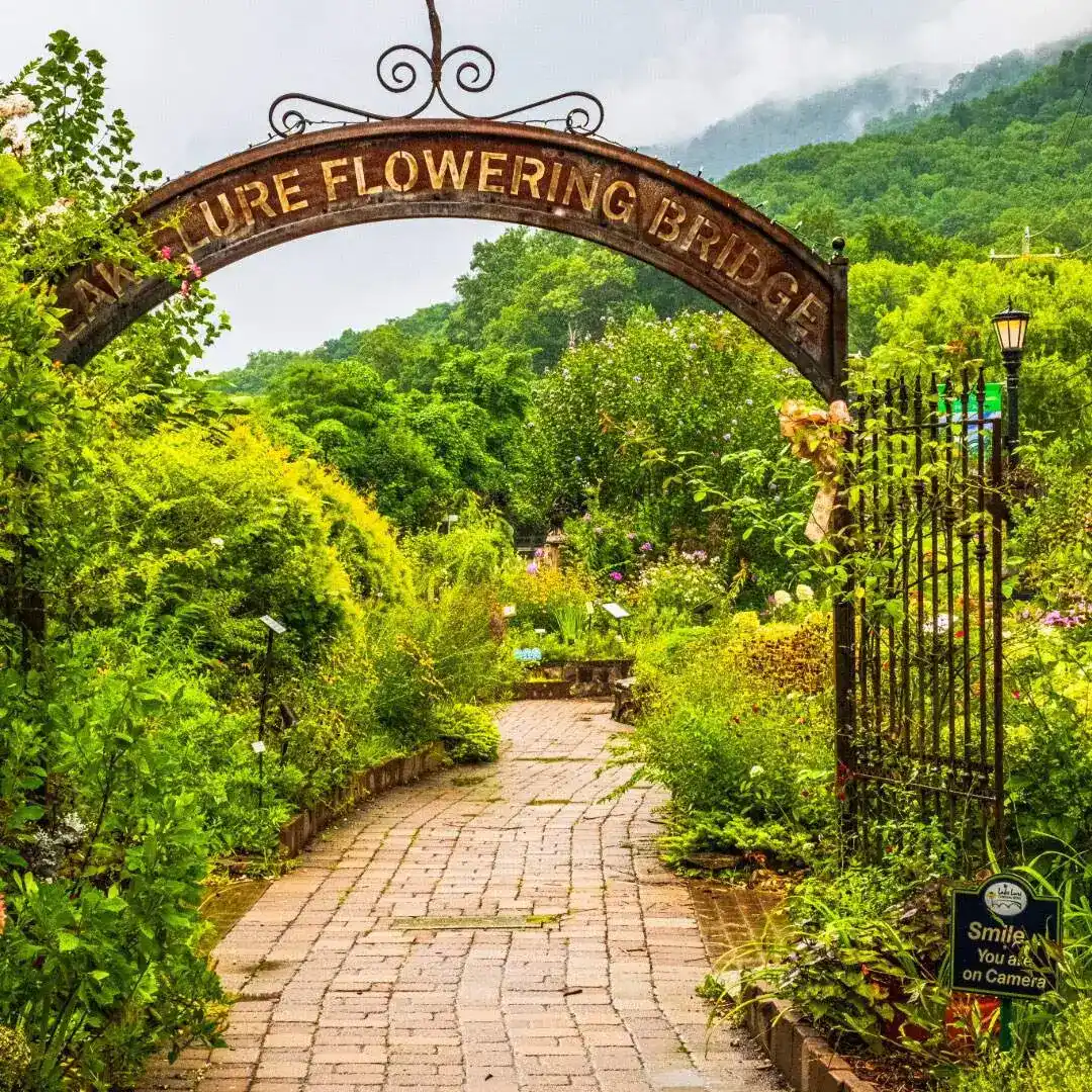 Lake Lure Community