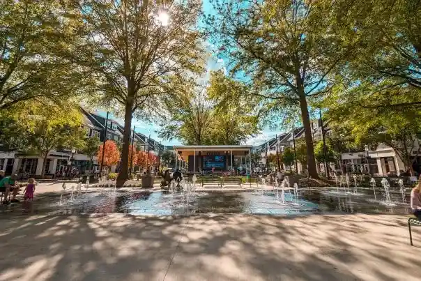 Lake Norman Community