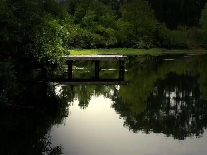 Lay Lake Community